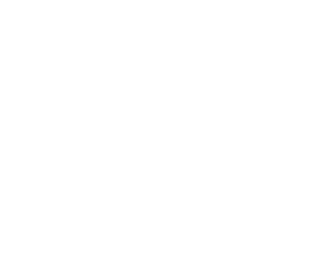 Flucht-Software